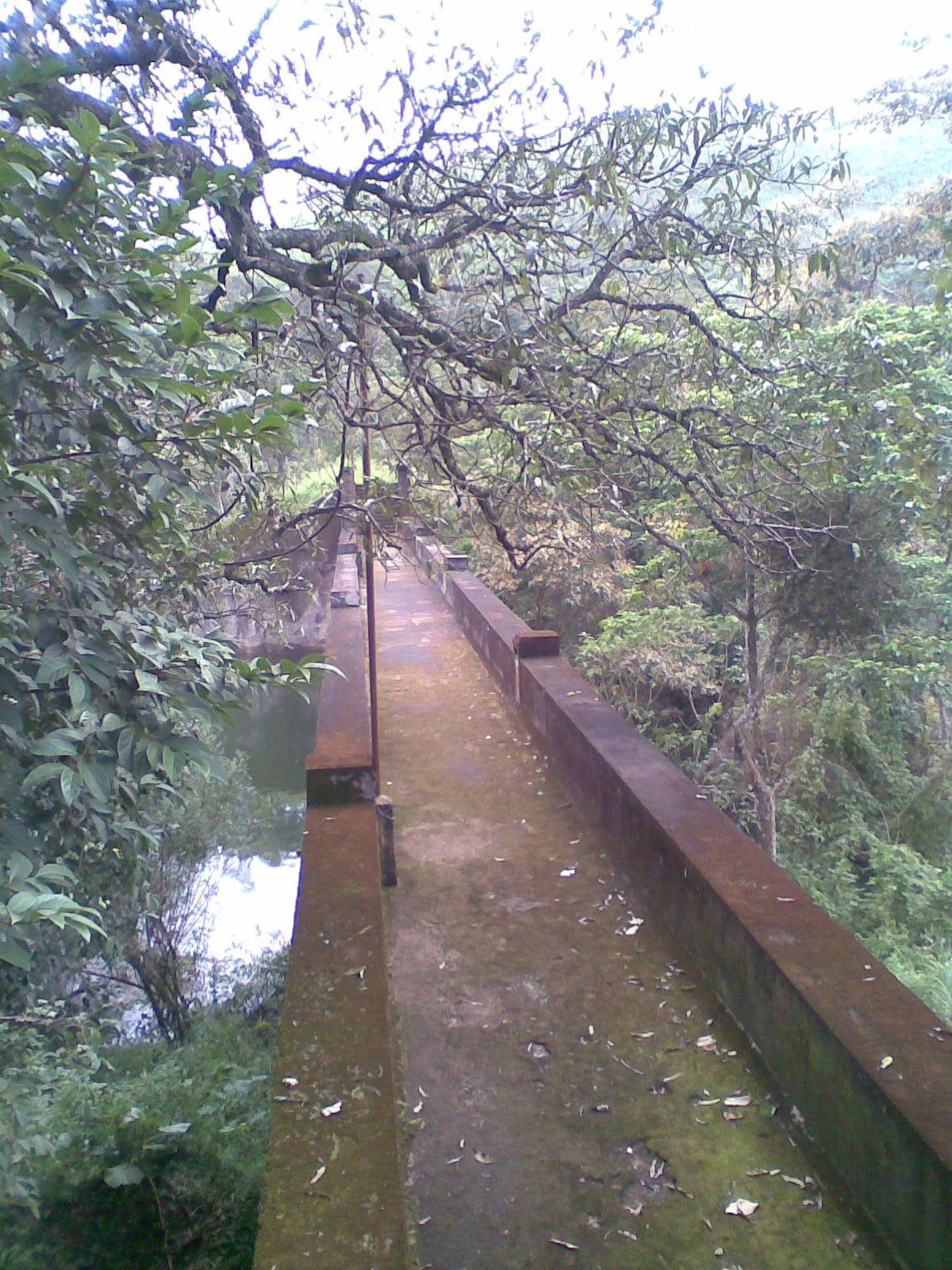 Mullaperiyar Baby Dam in Kerala, India