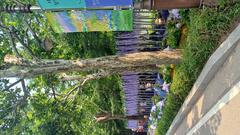 Scenic view of Boramae Park with people enjoying a sunny day