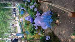 Boramae Park Metamong Garden 10 with green plants and flowers
