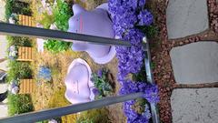 Metapod garden area in Boramae Park with greenery and walking paths