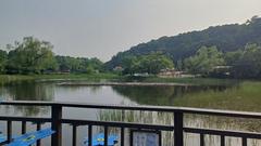 Boramae Park pond with surrounding greenery and trees