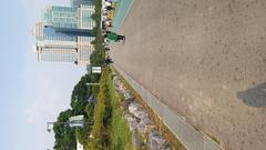 Boramae Park lawn plaza with green grass and trees in Seoul