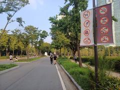 Scenic view of Boramae Park with greenery and walking paths under a blue sky