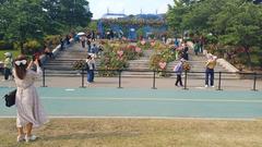 Scenic view of Boramae Park with greenery