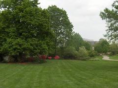 Fairmount Park Azalea Garden blooming with vibrant azalea flowers