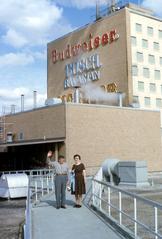 Tourists enjoying the view of Busch Gardens in Tampa, Florida in 1967