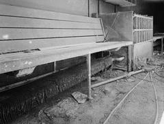 Abandoned dugout of Baltimore Memorial Stadium with overgrown grass and aged wooden benches