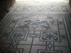 House Of The Wild Boar