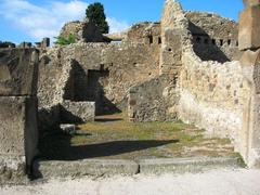 Shop (Viii.4.21)