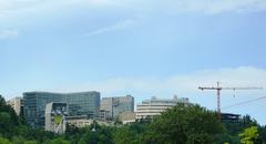 Oregon Health & Science University campus in Portland Oregon with modern buildings and greenery