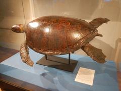 Exterior of the National Museum of Natural History in Manila featuring a green turtle display
