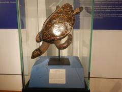Exterior National Museum of Natural History Manila green turtles hawksbill turtles giant clams