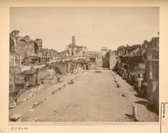 Maison des Vestales and other monuments of the Roman Forum