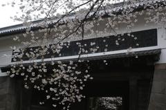 Tayasu Gate