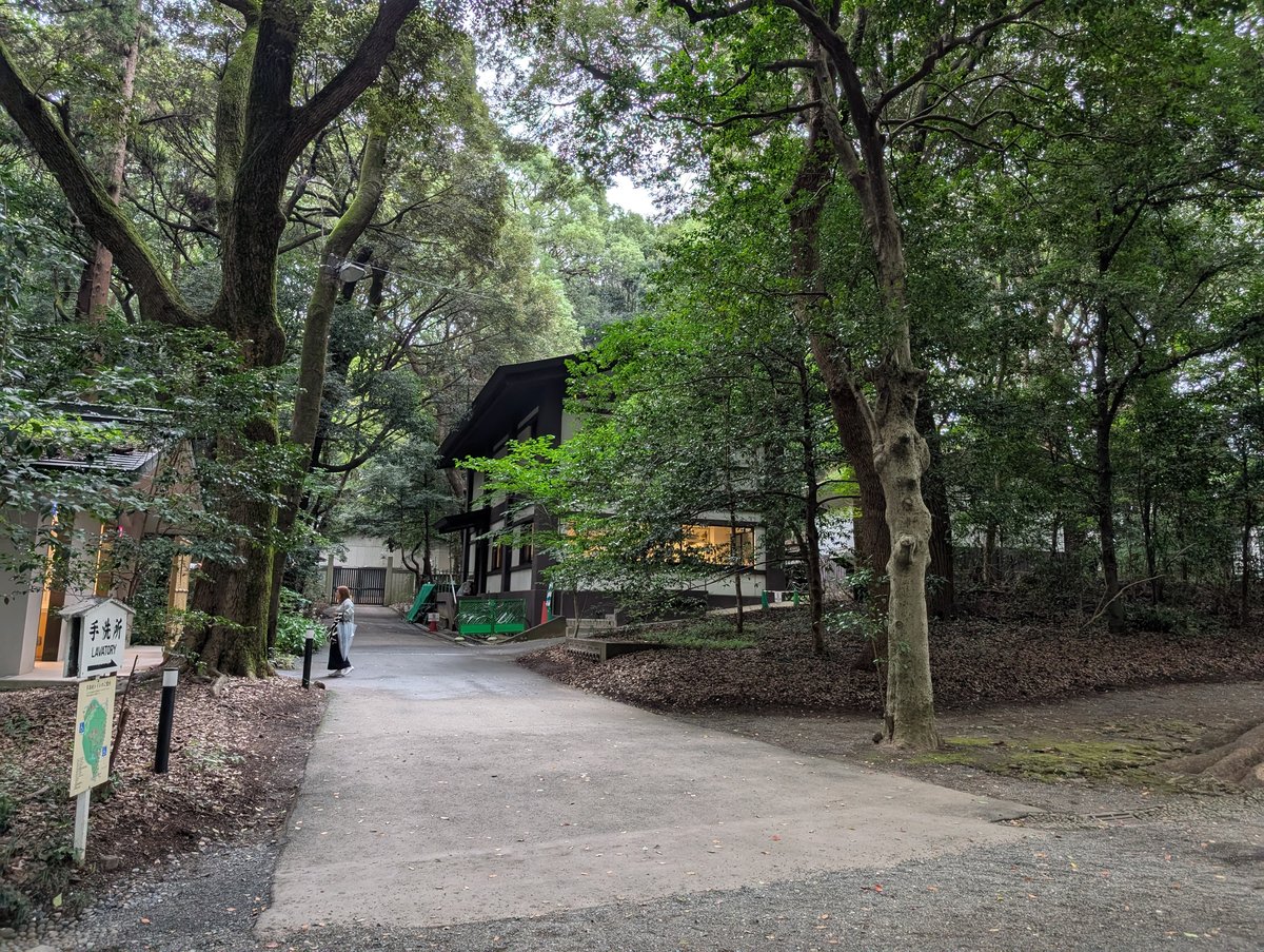 Autumn view of Meiji Jingu shrine in Tokyo, Japan during September 2024 with vibrant fall foliage and traditional Japanese architecture