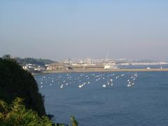 Panoramic view of Rade de Brest harbor with boats and surrounding cityscape
