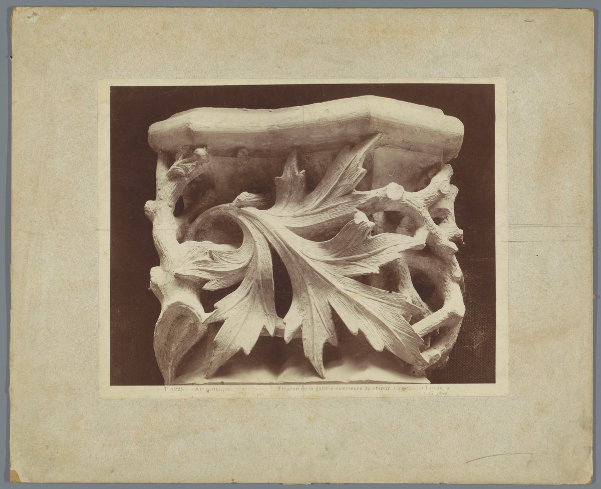 Relief sculpture detail of Gothic art from the Basilique Saint-Urbain in Troyes, featuring ornamental foliage