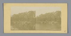 Stereophotograph of the Apollo Fountain in the Gardens of Versailles