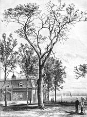 Engraving of the cottonwood tree marking the start of the Battle of Fort Dearborn 1812