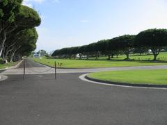 Aerial view of the National Memorial Cemetery of the Pacific in Honolulu, Hawaii, showcasing lush greenery and orderly rows of graves in Punchbowl Crater