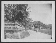 Temple Of The Tooth