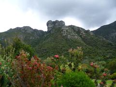Castle Rock overlooking Cape Town with lush greenery at Kirstenbosch Botanical Gardens