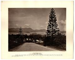 Hong Kong Public Gardens in 1879