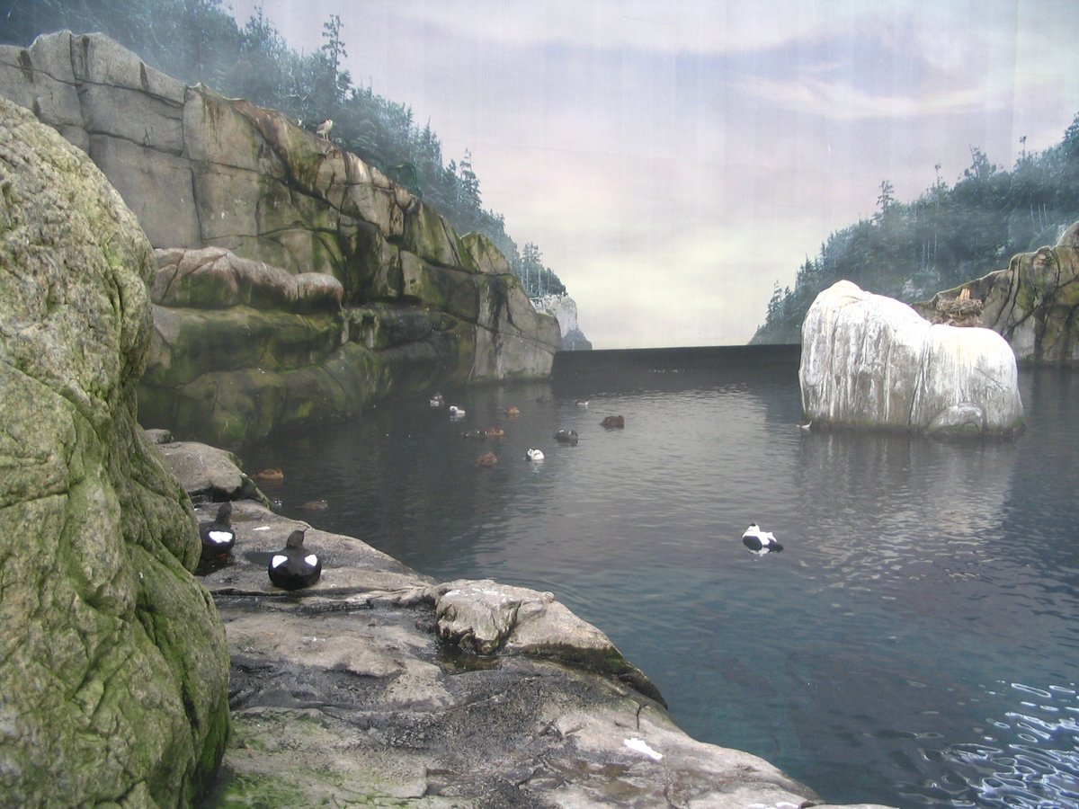 Flocks of birds flying inside a biodome environment