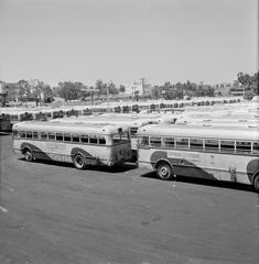 Vintage black and white photo of buses parked on an asphalt parking lot in Tel Aviv on Sabbath, 1964