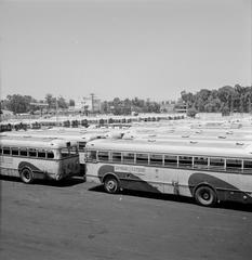 1964 black and white photo of buses parked at a depot parking lot in Tel Aviv on Sabbath