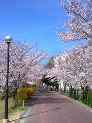Osaka Prefecture University