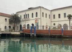 Venice International University