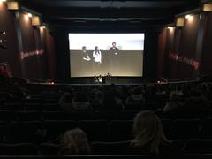 Audience Q&A session at Ted Rogers cinema for The American Meme documentary in April 2018