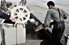 Fisherman loading fish onto boat at Jaffa port