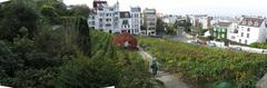Panoramic view of Montmartre vineyard in Paris with cityscape in background