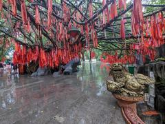 Lush green park area with waterfalls and ponds in Suoi Tien Park during July 2023