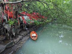 Scenic view of Suoi Tien Park lush greenery and pathways in July 2023