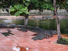 Colorful water fountain and sculptures in Suoi Tien Park during July 2023