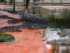 Panoramic view of Suoi Tien Park water rides and attractions in July 2023
