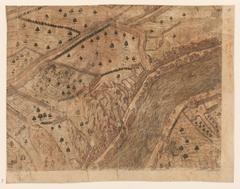16th century scenic map of Lyon oriented west showing city details and royal emblems