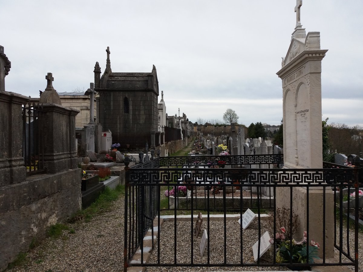 Tree-lined alleyway with old fortifications in the background under a clear sky