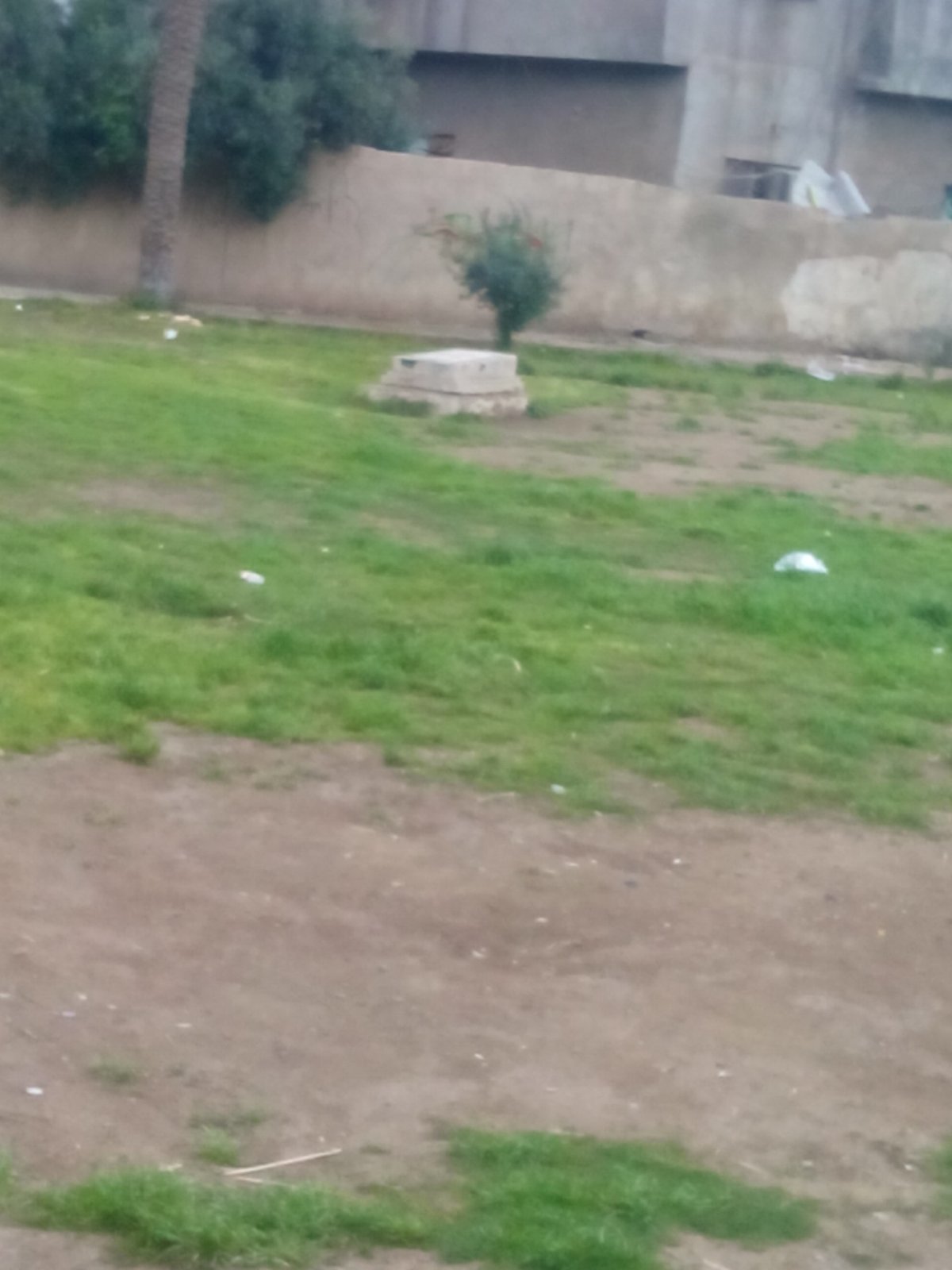 Al Rahbi Park in Baghdad Iraq with green trees and walking paths