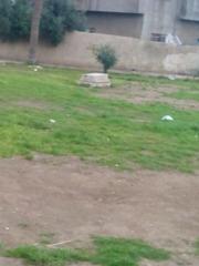 Al Rahbi Park in Baghdad Iraq with green trees and walking paths