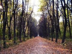 Alley in Kuskovo park with pathway and greenery