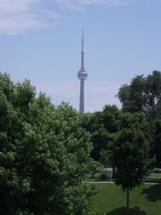 CN Tower viewed from Christie Pits Park with green trees and blue sky