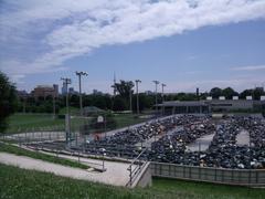 Christie Pits dump site with a pile of construction debris and materials