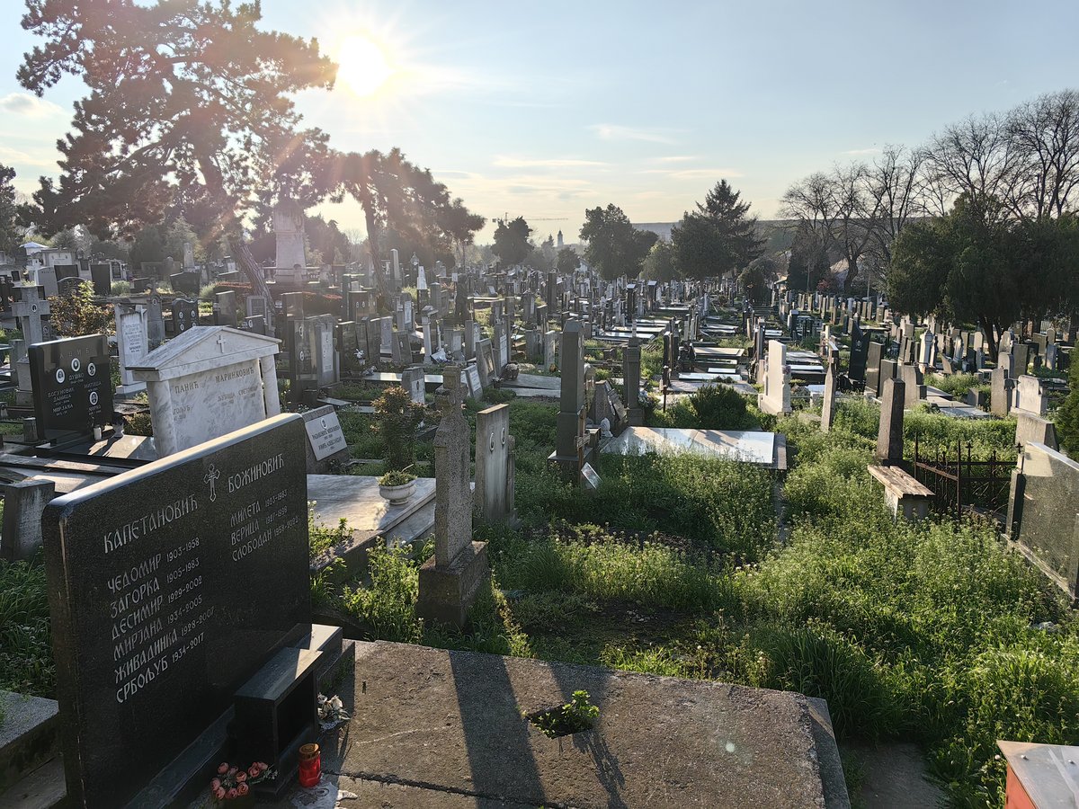 Zemun Cemetery in Belgrade, Serbia with rows of tombstones and green trees under a clear sky