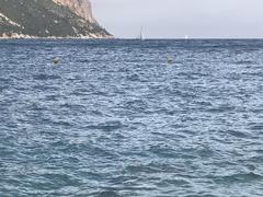 Scenic view of the harbor and colorful buildings in Cassis, France
