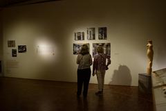 Contemporary art exhibitions at Museo de Arte Moderno in Mexico City