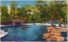 Sea Lion Pool in Forest Park, St. Louis, Missouri showing sea lions lounging on rocks in a water enclosure